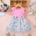 Baby Girl Floral Bow Detail Dress